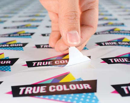 Die-Cut Labels and Decals
